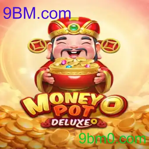 MoneyPotDELUXE